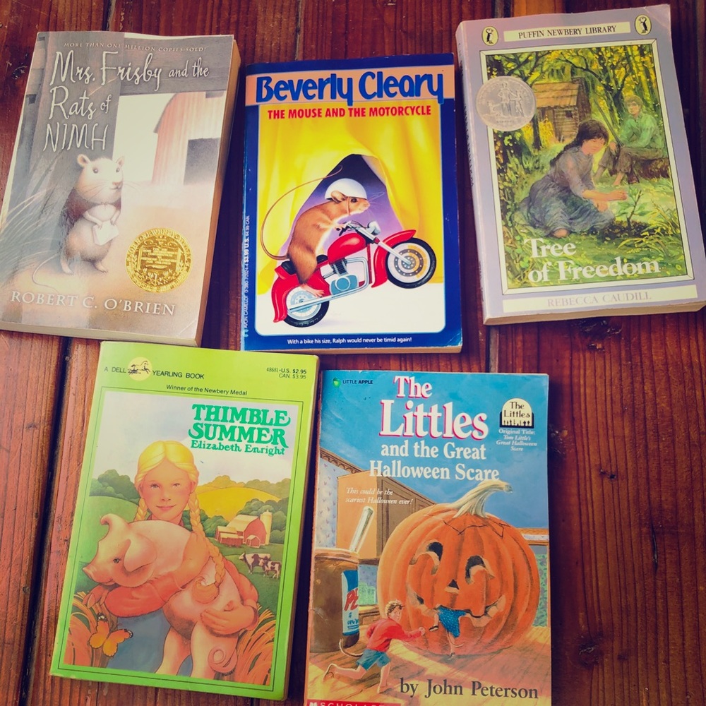 Bundle of kids books.